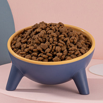 Raised Tilted Elevated Bowl Pet Cats Dogs Food Water Dish
