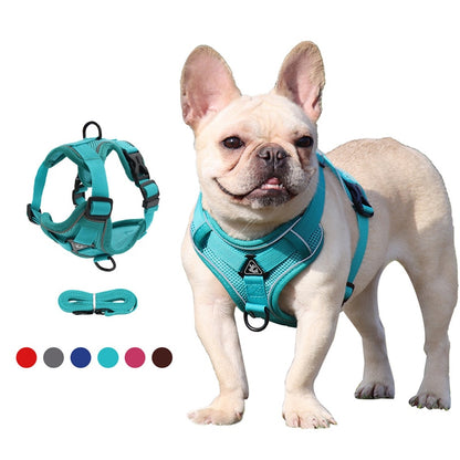 Vest-style dog harness small dog harness