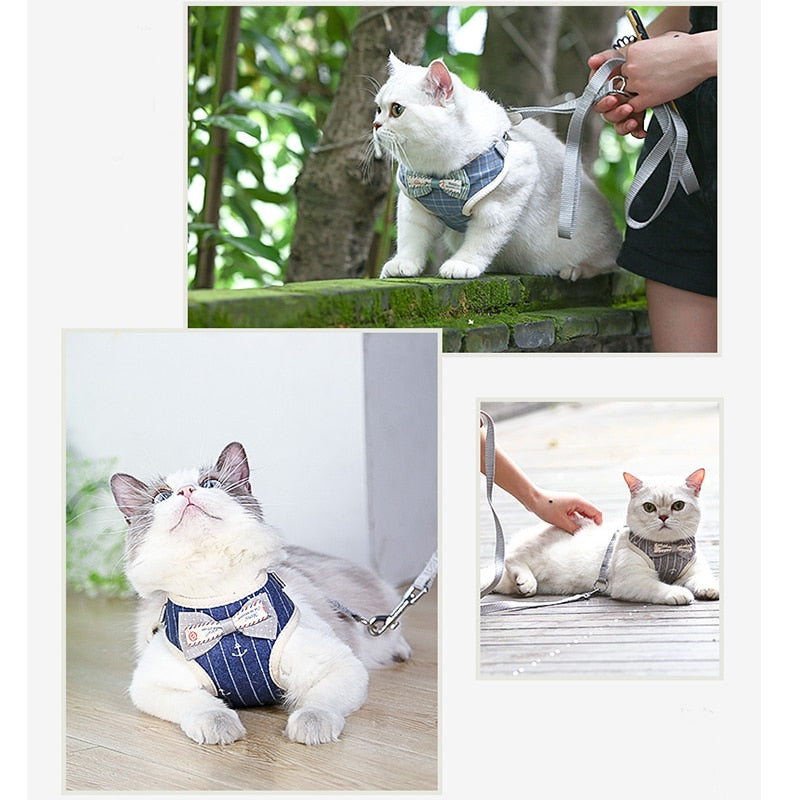 Bowknot Cat Harness and Leash Set