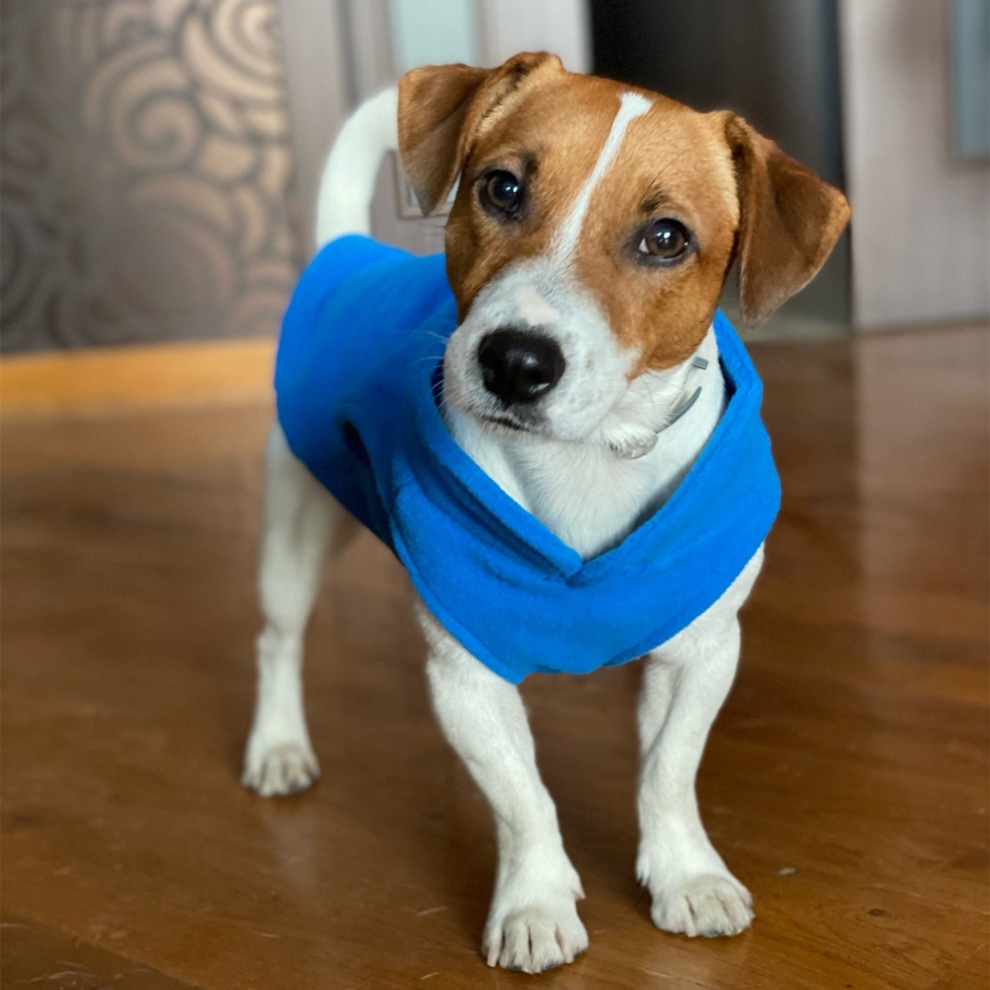 Winter Soft Fleece Pet Dog Clothes Puppy Clothing
