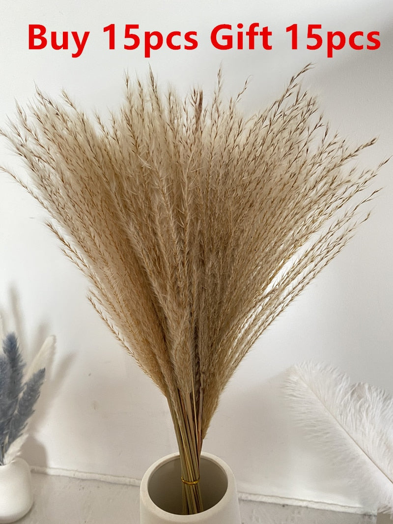 15 Pieces Dried Small Pampas Grass Flowers