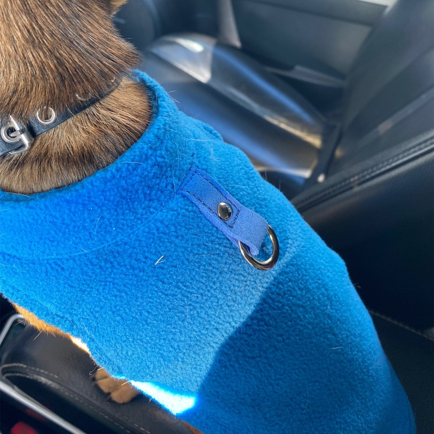 Winter Soft Fleece Pet Dog Clothes Puppy Clothing