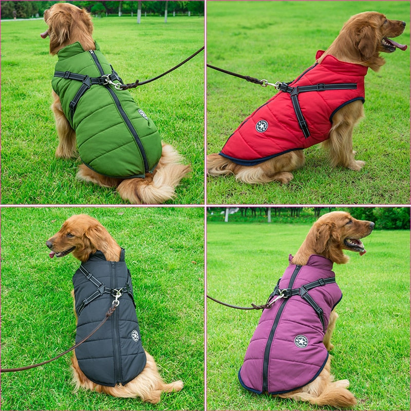 Small Medium and Large Pet Dog Jacket With Harness Warm Winter