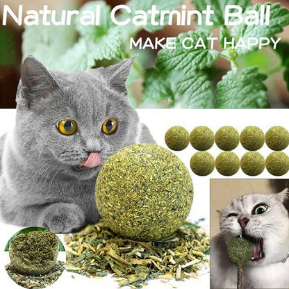 Pet Catnip Toys Edible Catnip Ball Safety Healthy Cat Mint