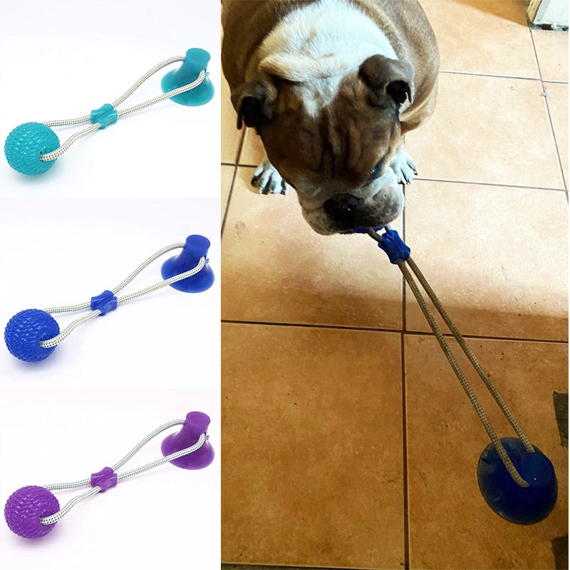 Dog Toys Pet Puppy Interactive Suction Cup Push TPR Ball Toys