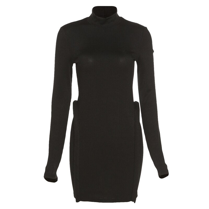 Three Dimensional Decoration Bodycon Long Sleeve Turtleneck