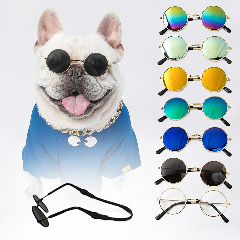 Pet Accessories Glasses Sunglasses Harness