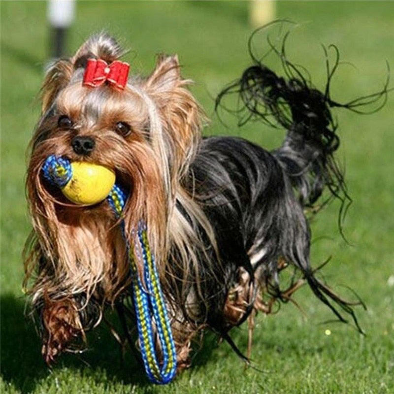 1 piece Teeth Indestructible Bite Rubber Puppy Funny Training Ball