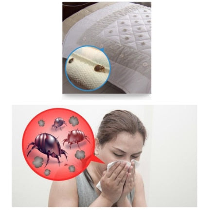 3 pieces lot Anti Mites Pads Cushion Bed Bug