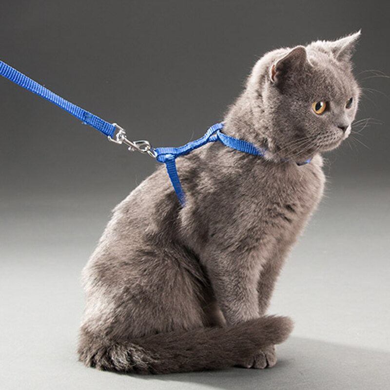 5 Color Adjustable Pet Cat Collar Harness Leash Set