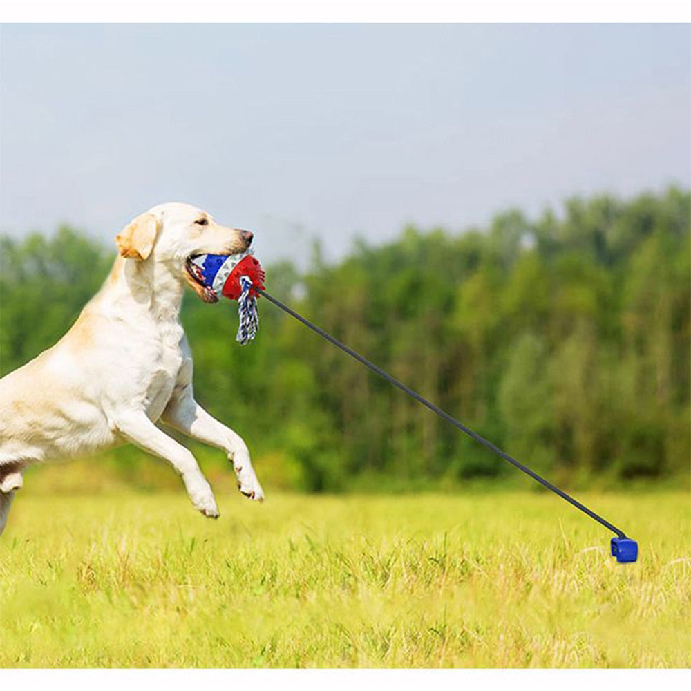 Pet Dog Interactive Suction Cup Push Ball Toys