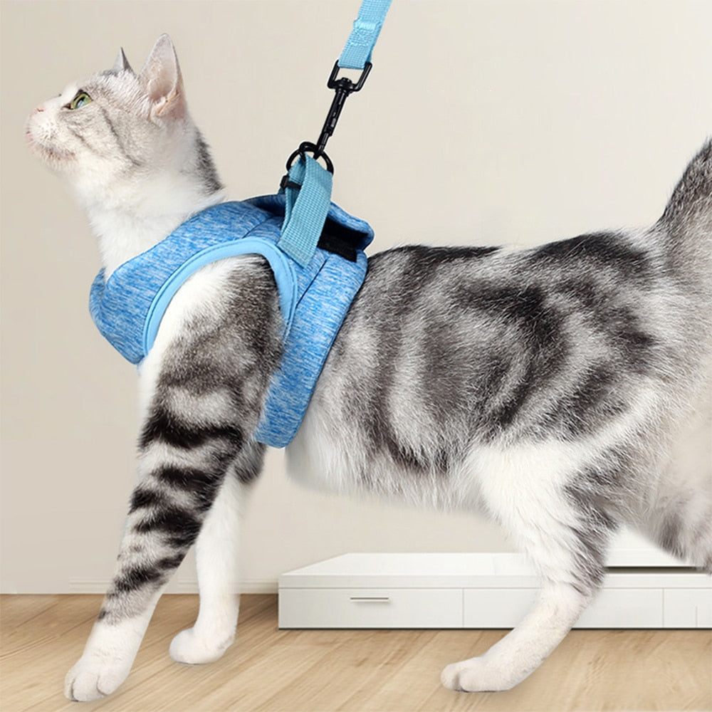 Adjustable Anti-Escape Kitten Harness Traction Belt