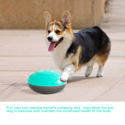 Funny Leaking Food Toy  Resistant Squeaky