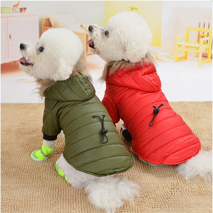 Dog clothing caothes Pet Clothes French Puppy Dog Costume Pet