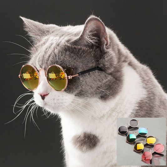Pet Cat Glasses Dog Glasses Pet Products for Little Dog Cat Eye Wear