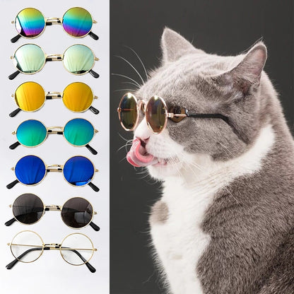 Pet Accessories Glasses Sunglasses Harness