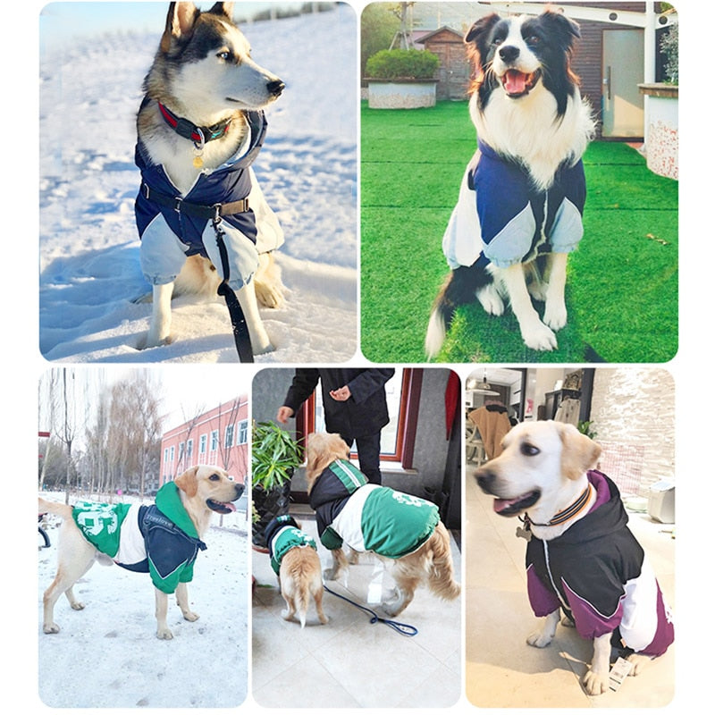 Big Dog clothes Coat Cotton-padded Hoodie