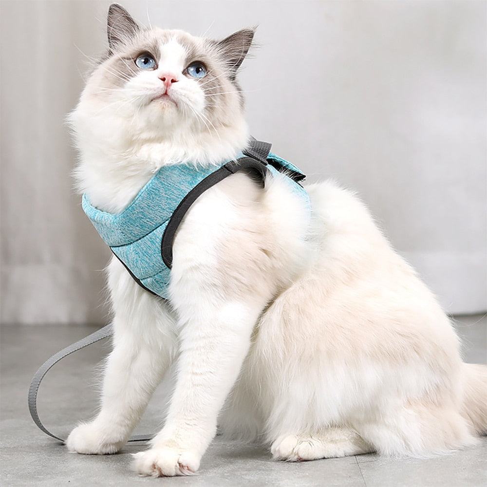 Adjustable Anti-Escape Kitten Harness Traction Belt