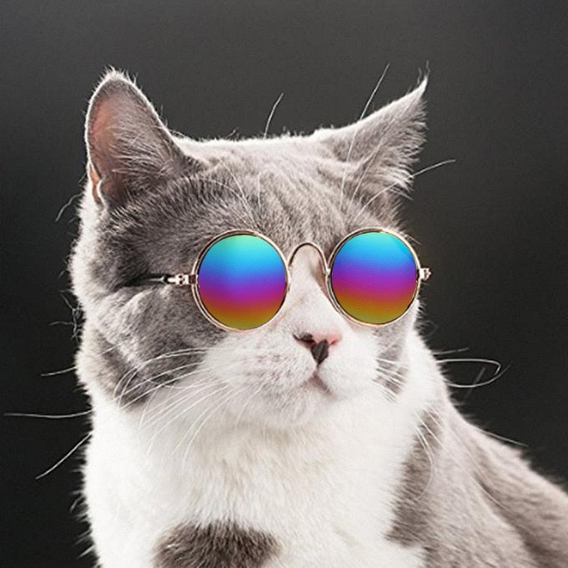 Dog Sunglasses Cat Round Reflection Eye Wear
