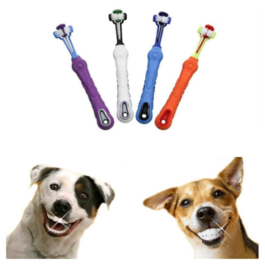 Pet Supplies Pet Toothbrush Three-Head Toothbrush