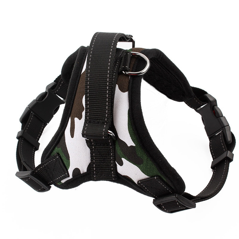 Pet Dog and Cat Adjustable Harness with Leash