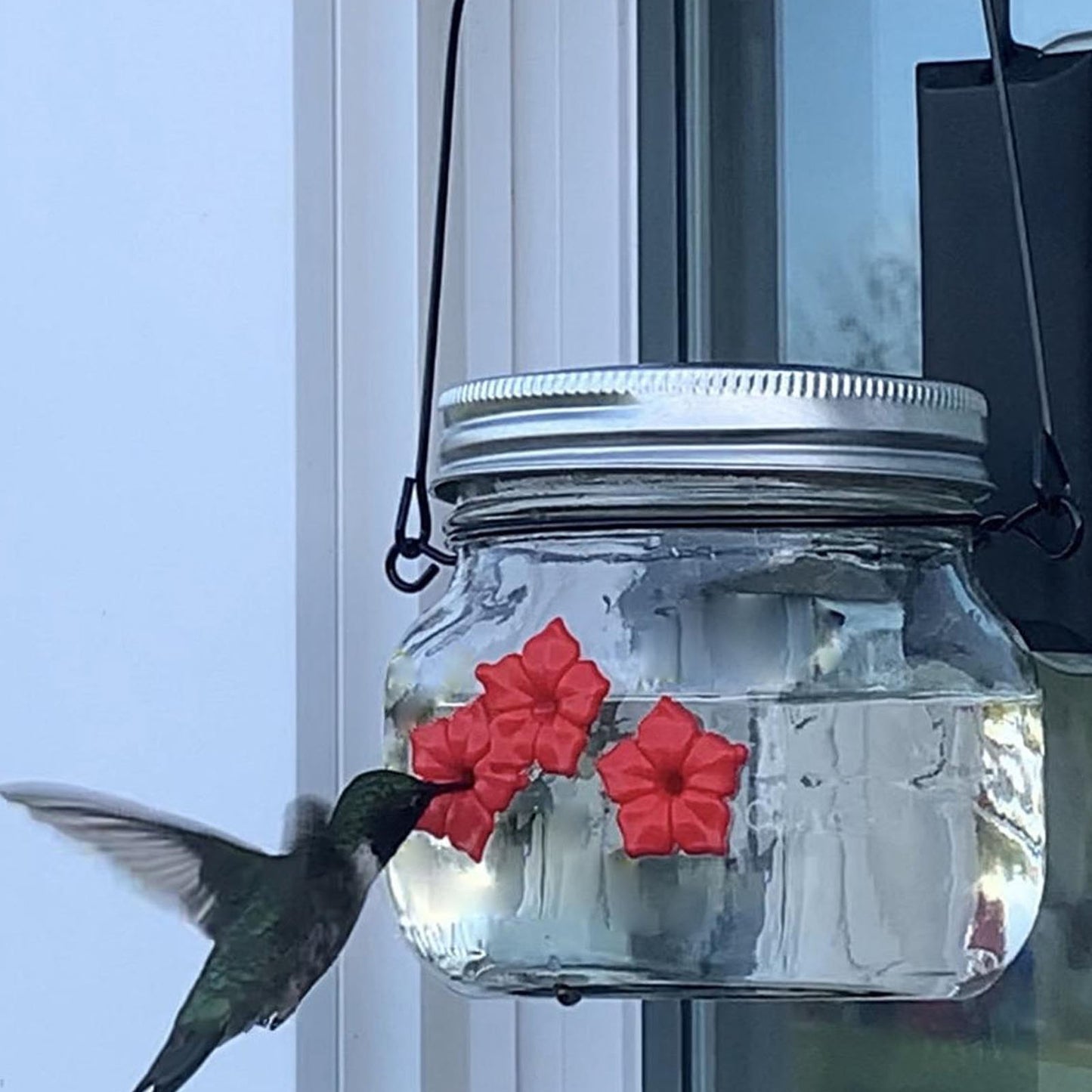 Portable Bird Water Feeder Hummingbird Feeder
