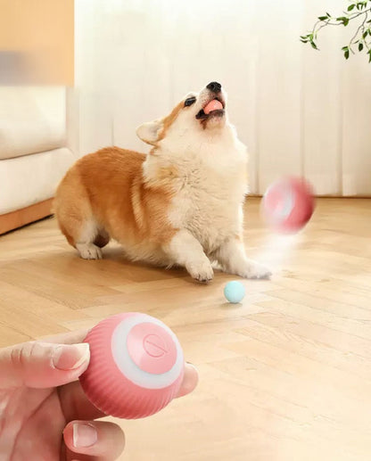 Electric Dog Ball Toys Auto Rolling Toys