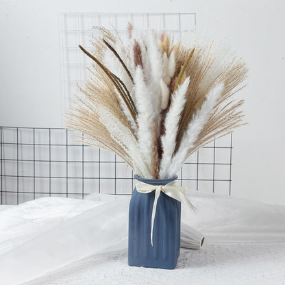 Natural Dried Pampa Grass Bouquet Boho Dried Flowers