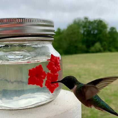 Portable Bird Water Feeder Hummingbird Feeder