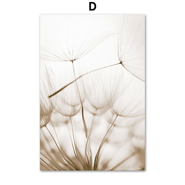 White Shell Beach Flower Dandelion Wall Art